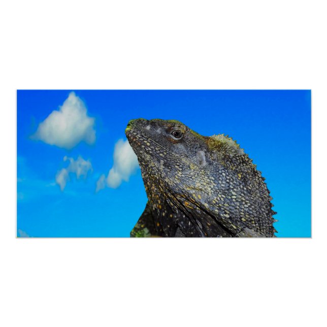 Pôster Arrancado Amigo (Frente)