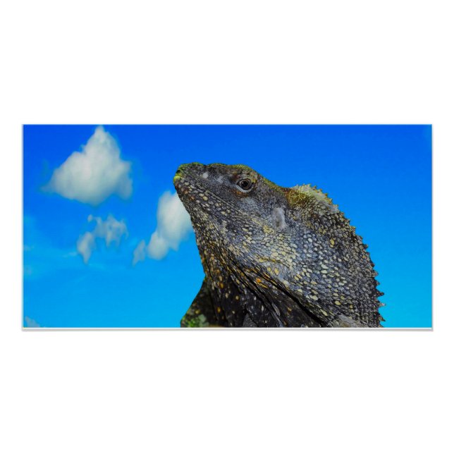 Pôster Arrancado Amigo (Frente)