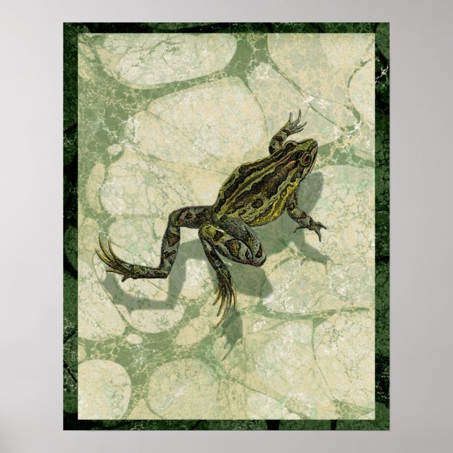 Pôster Arrancas na água (Frente)