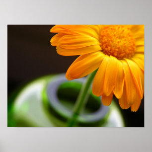 Poster Arranjo Simples