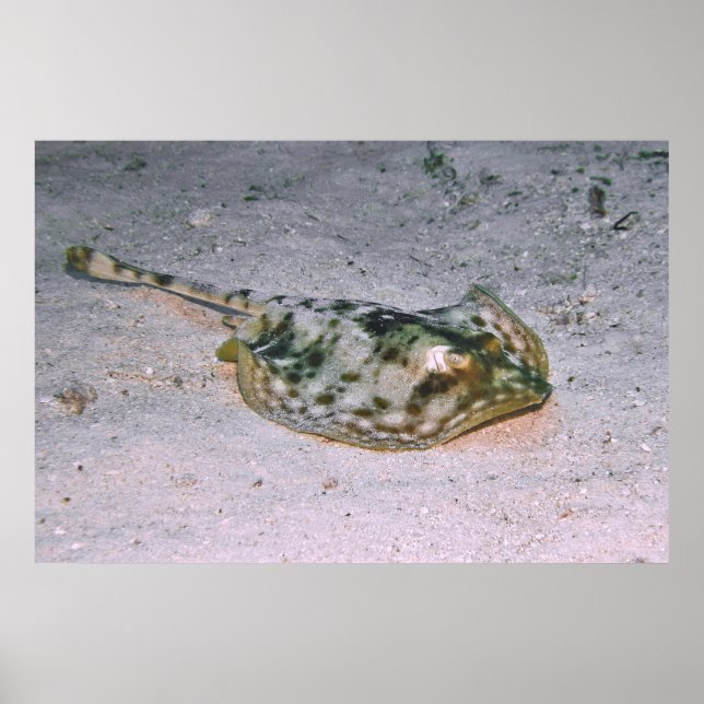 Poster Arrasto Amarelo na Areia (Frente)