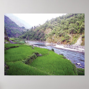 Poster Arroz Terace do rio de Kathmandu