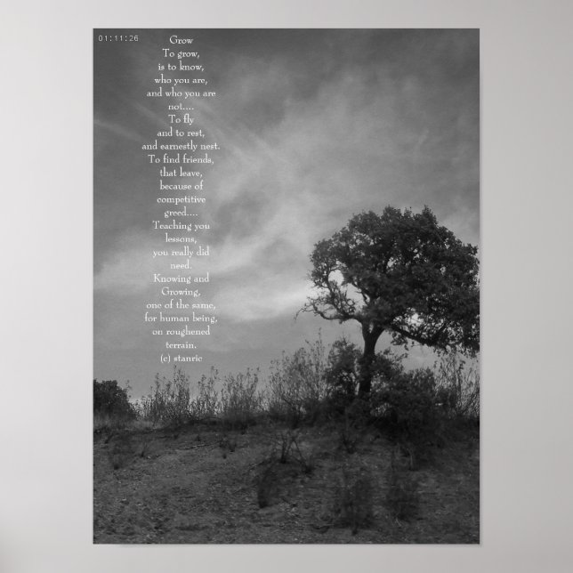 POSTER ART AND DESIGN STYLE  (Frente)