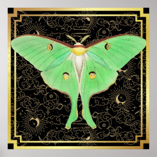 Poster Art Deco Luna Moth