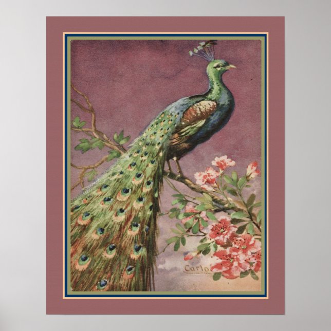 Poster Art Deco Peacock de 1920 por Carlo Chiost (Frente)