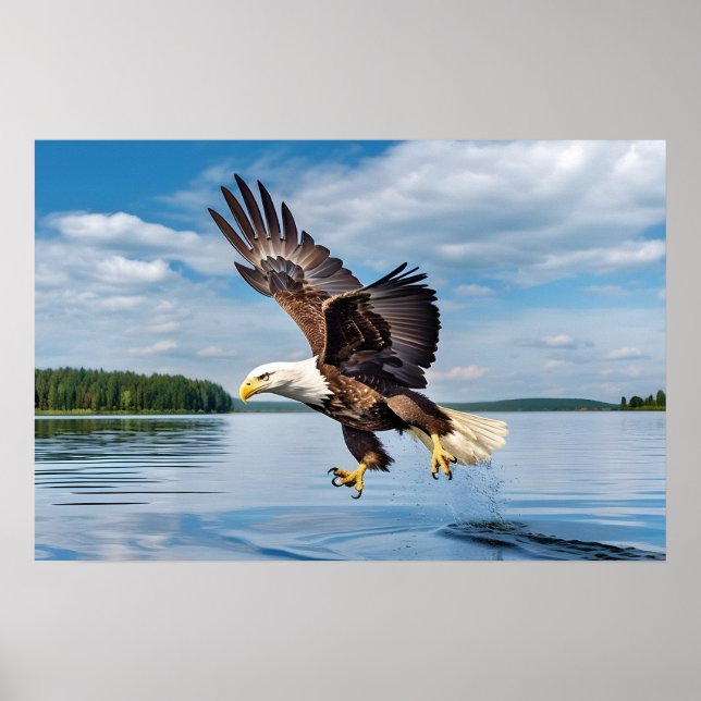Poster Art Eagle (Frente)