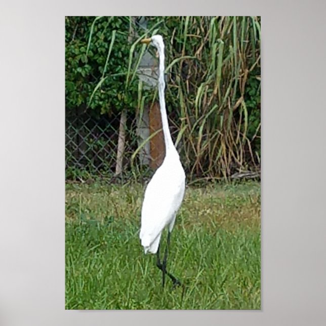 Poster Art for Your Walls (Frente)