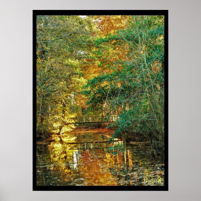 poster art fotografia automne ponne sous bois rivi (Frente)