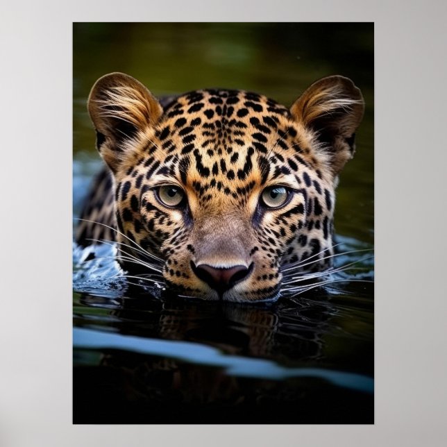 Poster Art Leopardo (Frente)