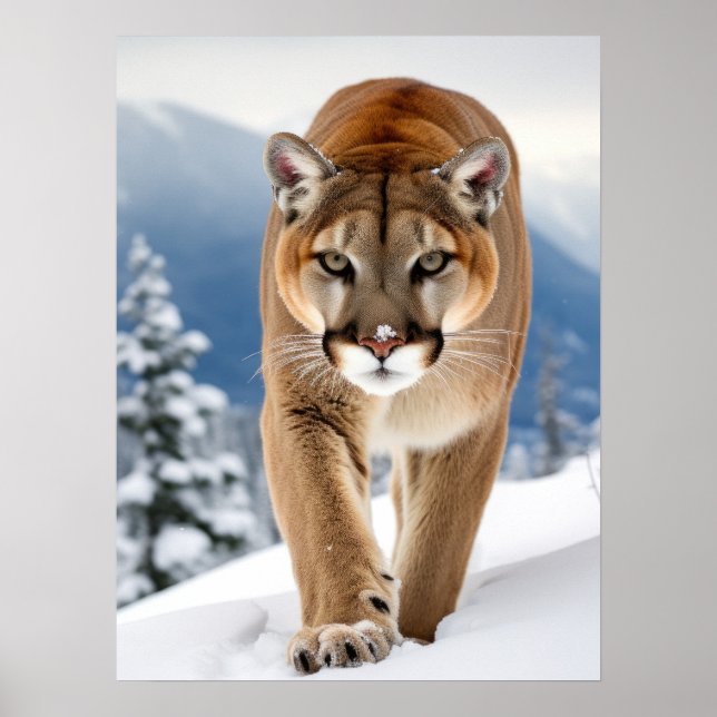 Poster Art Mountain Lion (Frente)