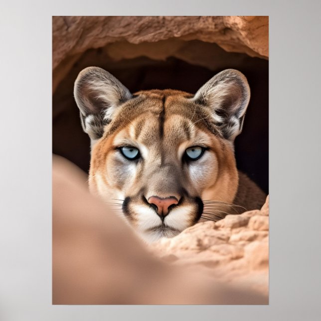 Poster Art Mountain Lion (Frente)