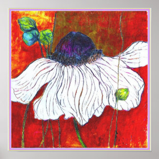 Pôster ART-ON-CANVAS: 'Anemone da Noite Branca' 15"x15"