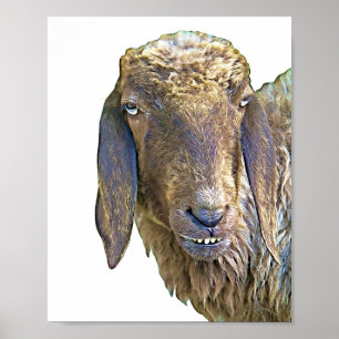 Poster Arte Animal Fazenda Com Cara De Ovelha 