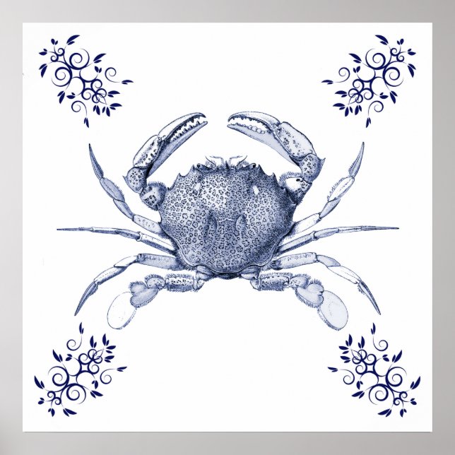 Pôster Arte Aquática ~ Caranguejo Comum Oceano Pacífico (Frente)