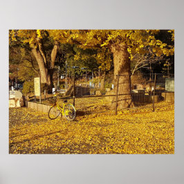Poster Arte Através da Lente
