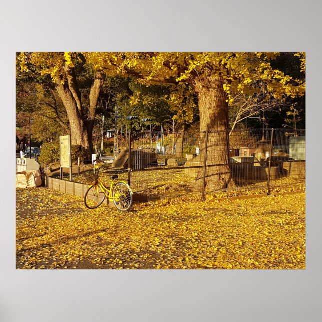 Poster Arte Através da Lente (Frente)