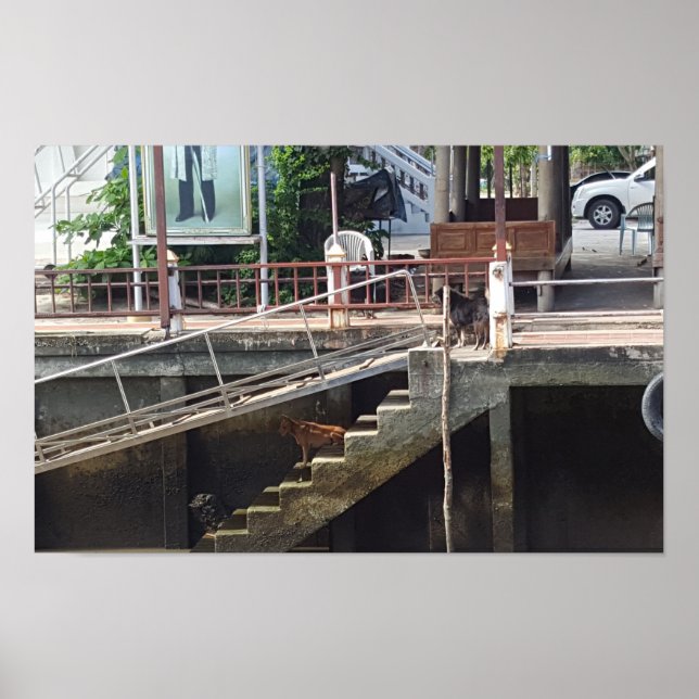 Poster Arte Através da Lente (Frente)