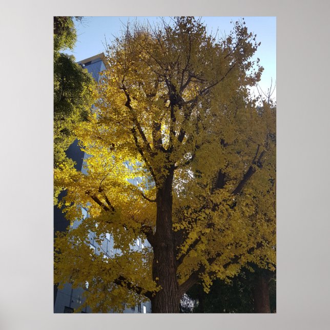 Poster Arte Através da Lente (Frente)
