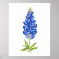 Arte Bluebonnet do Texas com Única Aquarela