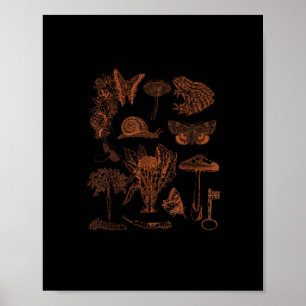 Poster Arte Botânica, Cogumelos de Rã Estética Goblincore