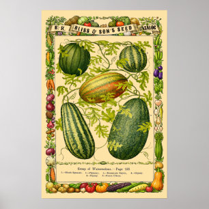Poster Arte Botânica da Era Vitoriana Retrô da Melancia