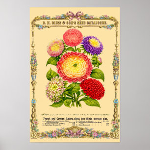 Poster Arte Botânica da Era Vitoriana Retrô de Flores