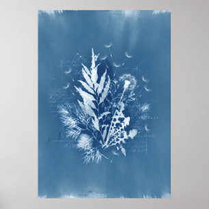 Poster Arte Botânica de Dandelion e Algas Marinhas em Cia