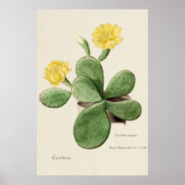 Poster Arte Botânica de Flor Amarelo Cactus