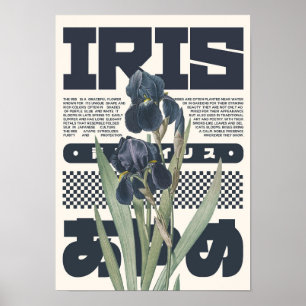 Poster Arte Botânica de Flor de Íris – Estética Japonesa