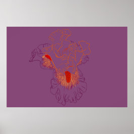 Poster Arte Botânica de Íris em Linha