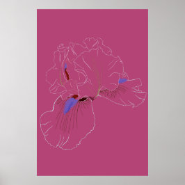 Poster Arte Botânica de Íris em Linha