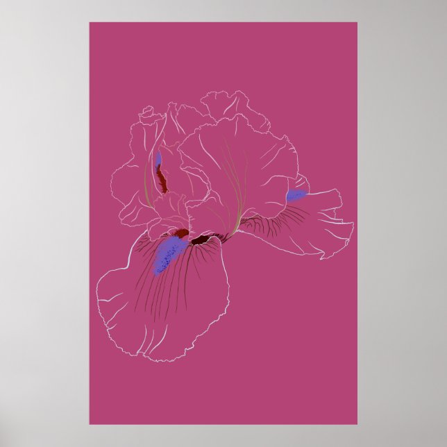 Poster Arte Botânica de Íris em Linha (Frente)