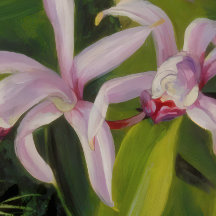 Arte Botânica de Orquídea Tropical