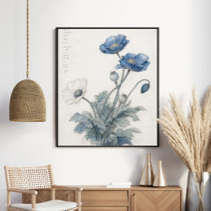 Poster Arte Botânica de Papoulas Azuis Elegantes