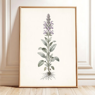 Poster Arte Botânica de Parede em Prata Sage Cottagecore