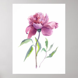 Poster Arte Botânica em Aquarela de Peônia para Parede