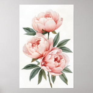 Poster Arte Botânica em Aquarela de Peônia Rosa no Tom Bl