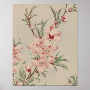 POSTER ARTE BOTÂNICA FLOR DE PÊSSEGO VINTAGE