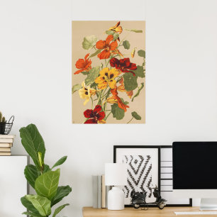 Poster Arte Botânica Floral de Nastúrcio Vintage Jardim