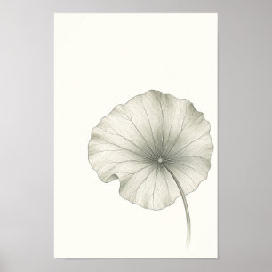 Poster Arte Botânica Minimalista de Folha de Lótus na Par