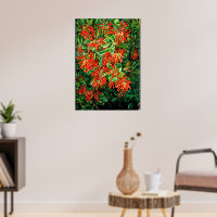 Arte botânica: Queimando Bush e Emu Wren do Chile