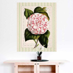 Pôster Arte Botânica Vintage Camellia Strike Design