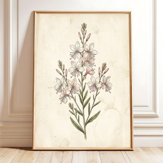 Poster Arte Botânico de Gaura para Parede