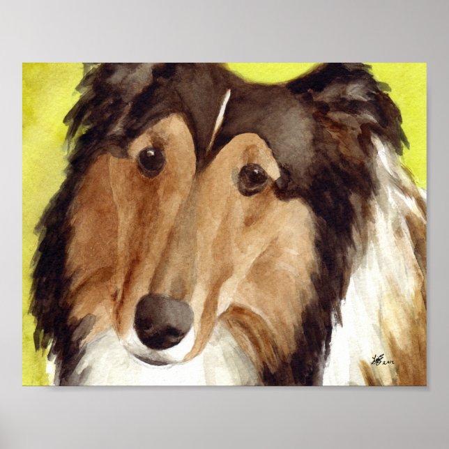 Pôster Arte Collie (Frente)