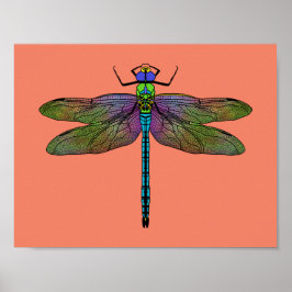 Poster Arte Colorida Imperadora Dragonfly