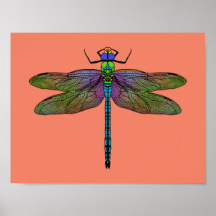 Poster Arte Colorida Imperadora Dragonfly