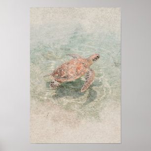 Poster Arte Costeira de Tartaruga Marinha em Coral e Vidr