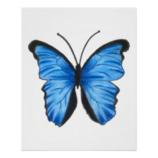 Pôster Arte da Borboleta Azul