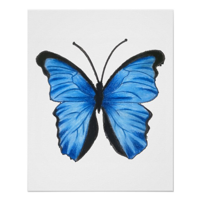 Pôster Arte da Borboleta Azul (Frente)