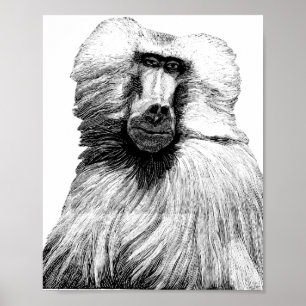 Poster Arte da Ilustração da Selva de Macacos Baboon